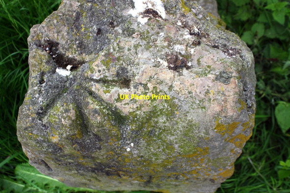 Photo 6"x4" Benchmark on top of boundary stone, Banks Road Northallerton c2017
