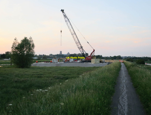 Photo 6"x4" Crane in the washland Ely\/TL5480 c2017