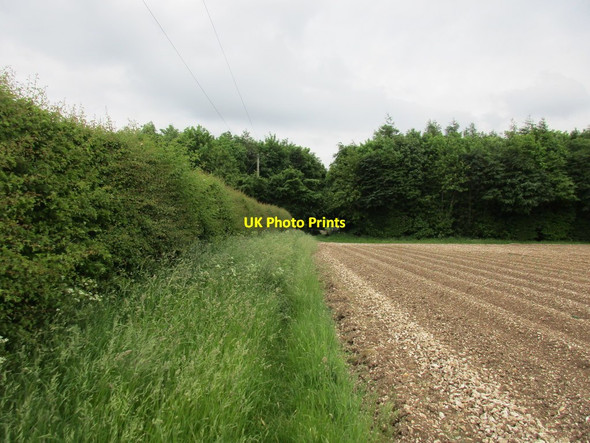 Photo 6"x4" Bridleway and shelter belt near Mill Farm Sledmere c2017
