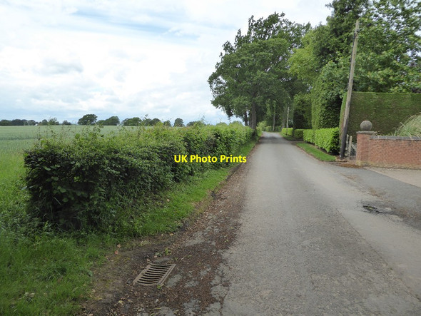 Photo 6"x4" Jennings Wood Lane Dunley\/SO7869 c2017