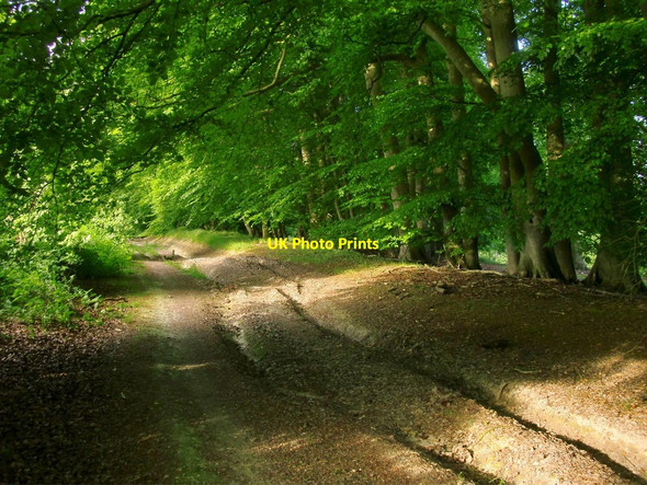 Photo 6"x4" Byway on Pit Down Upper Lambourn c2017
