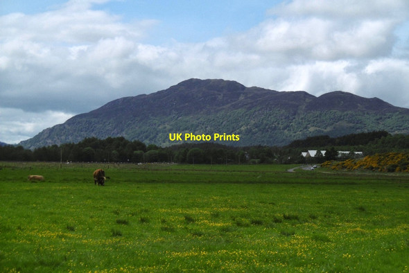 Photo 6"x4" Spey flood plain between Newtonmore and Kingussie Kingussie c2017
