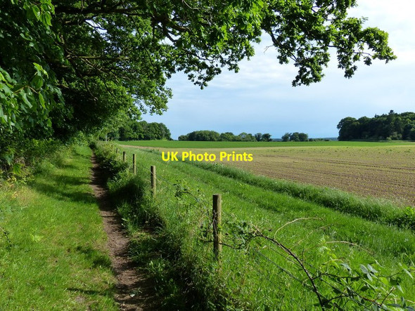 Photo 6"x4" Peddars Way at Boston Plantation Pockthorpe\/TL9196 c2017