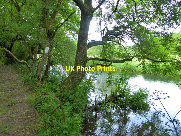 Photo 6"x4" By the River Frome Dorchester\/SY6890 c2017