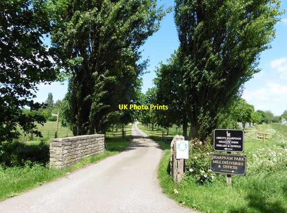 Photo 6"x4" Entrance Drive, Abbotts Sharpham Street\/ST4836 c2017