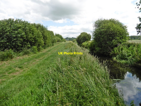 Photo 6"x4" Hulk Moor Rhyne Street\/ST4836 c2017