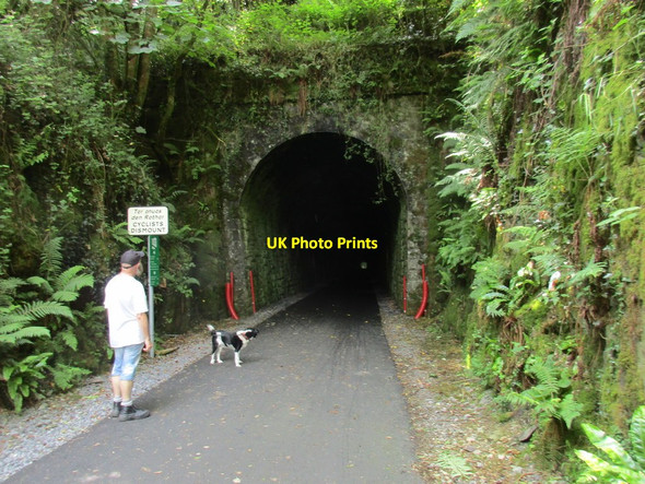 Photo 6"x4" Ballyvoyle Tunnel entrance Stradbally c2017