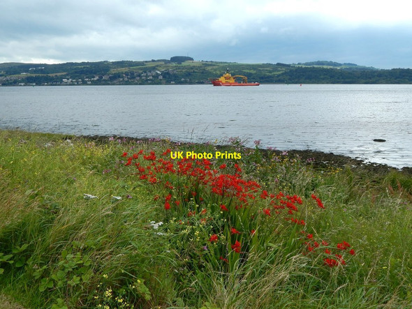 Photo 6"x4" The foreshore at Havoc Dumbarton c2017