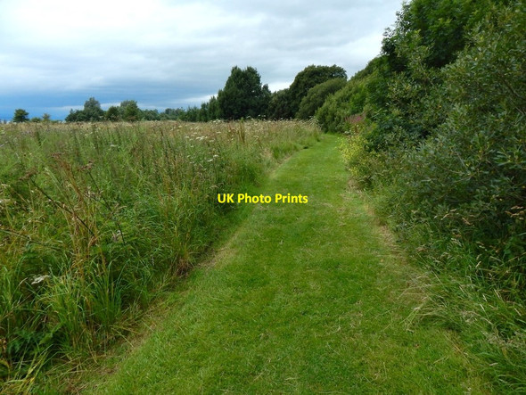 Photo 6"x4" Path in Havoc Grassland Dumbarton c2017