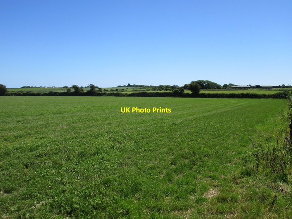Photo 6"x4" Grass field near Ballyroe Churchtown\/W9463 c2017