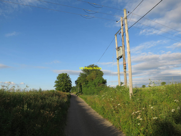Photo 6"x4" Power lines crossing Cow Lane Great Chesterford c2017