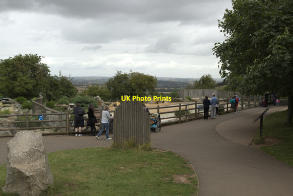 Photo 6"x4" Penguin Enclosure, Whipsnade Zoo Whipsnade c2017