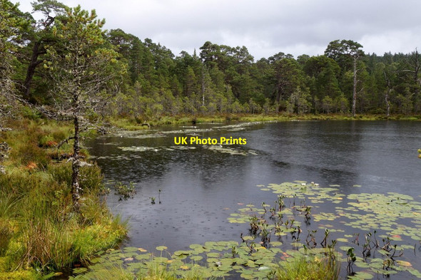Photo 6"x4" Coire Loch, Glen Affric Tomich\/NH3027 c2017 P1