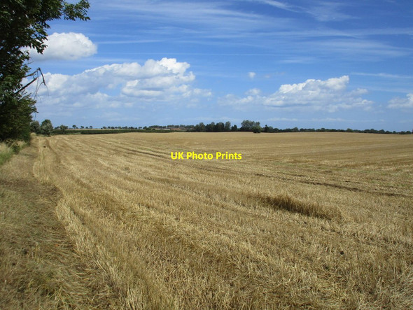 Photo 6"x4" Harvested field near Humbleton Grange Elstronwick c2017