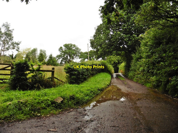 Photo 6"x4" Track to Lower Ashley Tiverton\/SS9512 c2017