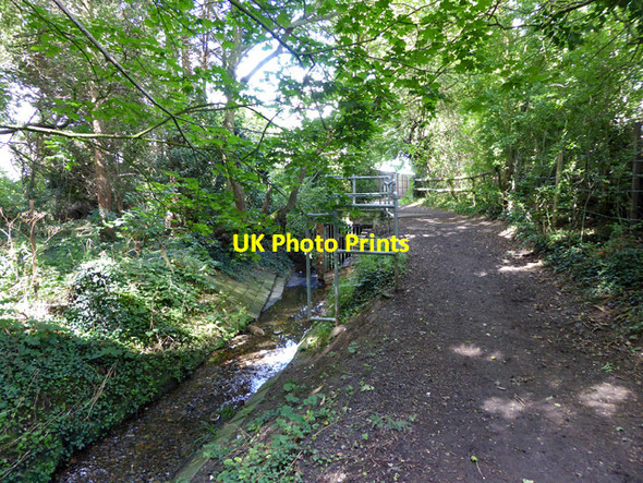 Photo 6"x4" Brook and path, Hockley Hawkwell\/TQ8591 c2017