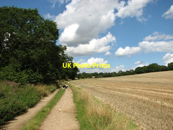 Photo 6"x4" To Poringland on Wash Lane Alpington c2017