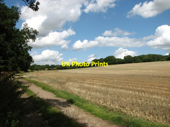 Photo 6"x4" Stubble field beside Wash Lane Alpington c2017
