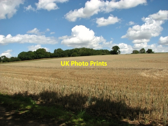 Photo 6"x4" Harvested field beside Wash Lane Alpington c2017