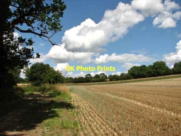 Photo 6"x4" Fields beside Wash Lane Alpington c2017