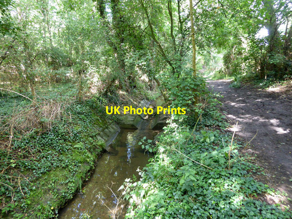 Photo 6"x4" Brook and path, Hockley Hawkwell\/TQ8591 c2017