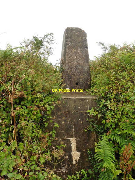 Photo 6"x4" Trig point near Seven Crosses Cotteylands c2017