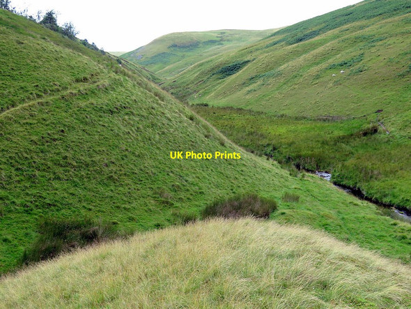 Photo 6"x4" Valley of Buckham's Walls Burn Barrow Burn\/NT8610 c2017