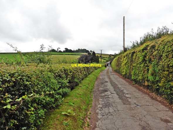 Photo 6"x4" Lane to Higher Farleigh Tiverton\/SS9512 c2017