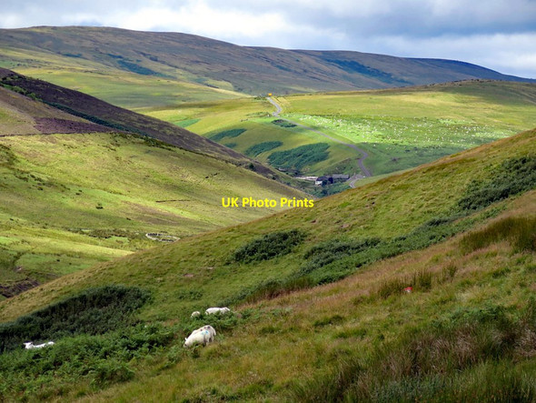 Photo 6"x4" Upper Coquetdale from Eald Rigg Fulhope c2017