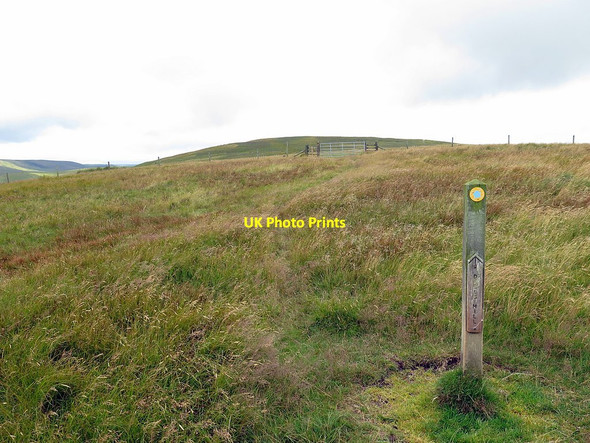 Photo 6"x4" Rough path on Eald Rigg Deel's Hill c2017