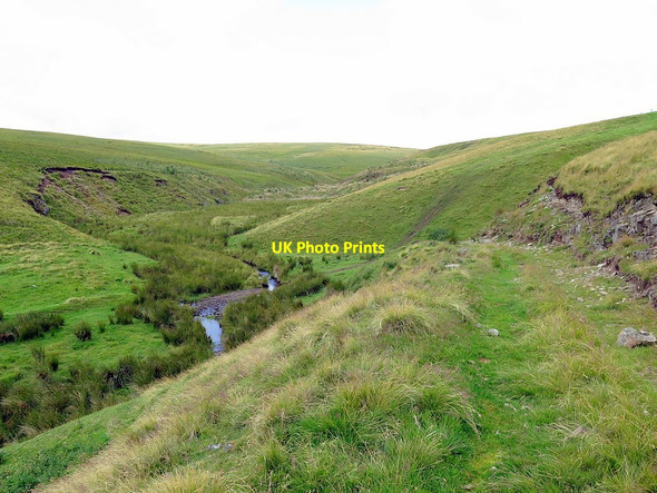 Photo 6"x4" Track above Buckham's Walls Burn Upper Hindhope c2017
