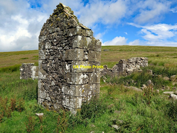 Photo 6"x4" Ruin at Buckham's Walls Upper Hindhope c2017
