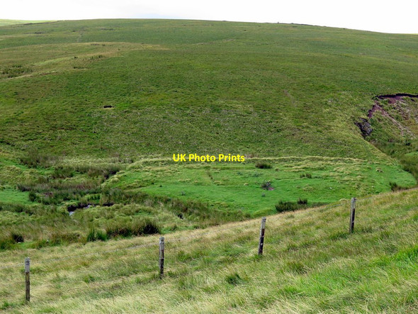 Photo 6"x4" Former small field close to Buckham's Walls Burn Upper Hindhope c2017