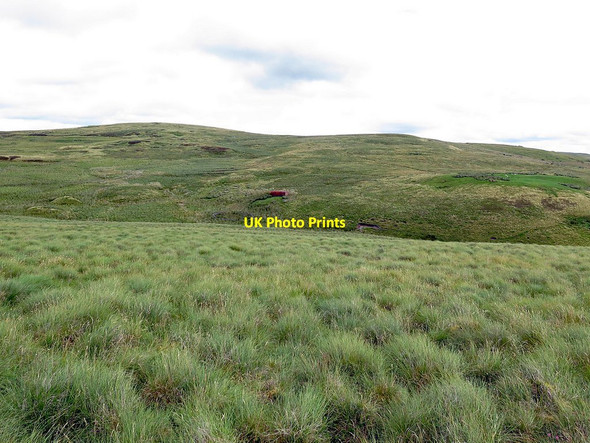 Photo 6"x4" Tussock grass above Buckham's Walls Burn Upper Hindhope c2017