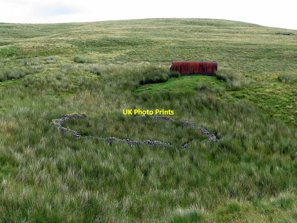 Photo 6"x4" Sheepfold above Buckham's Walls Burn Upper Hindhope c2017