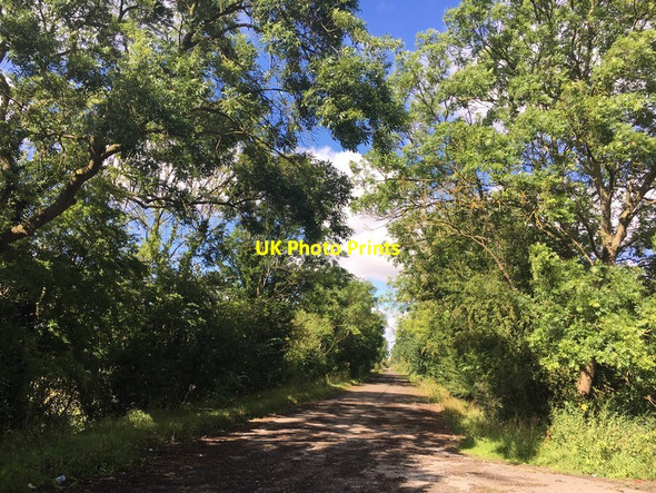 Photo 6"x4" The old Flood Road Gainsborough\/SK8189 c2017