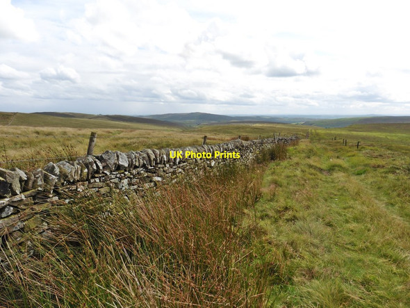 Photo 6"x4" Boundary wall on Axe Edge Moor Knotbury c2017