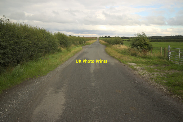 Photo 6"x4" Eccup Moor Road Eccup c2017