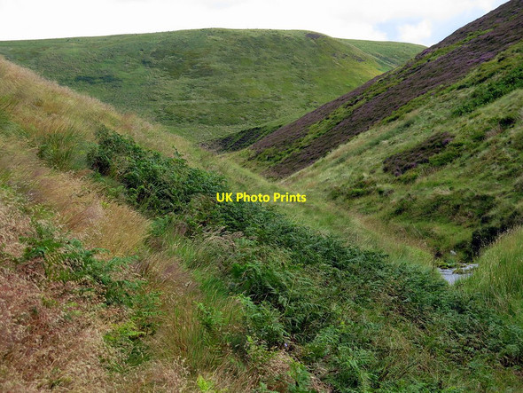 Photo 6"x4" View down Blind Burn valley Carlcroft Hill c2017