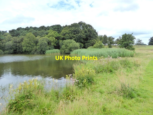 Photo 6"x4" Wildlife Bay Farlam c2017