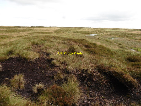 Photo 6"x4" Summit of Black Hill Holme\/SE1005 c2017