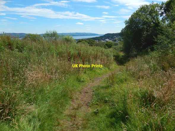 Photo 6"x4" Path in Auchmountain Glen Greenock\/NS2776 c2017