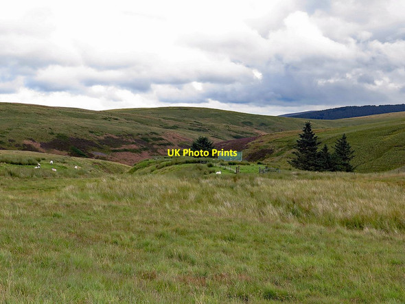 Photo 6"x4" Approach to Yearning Hall from north-west Yearning Hall c2017