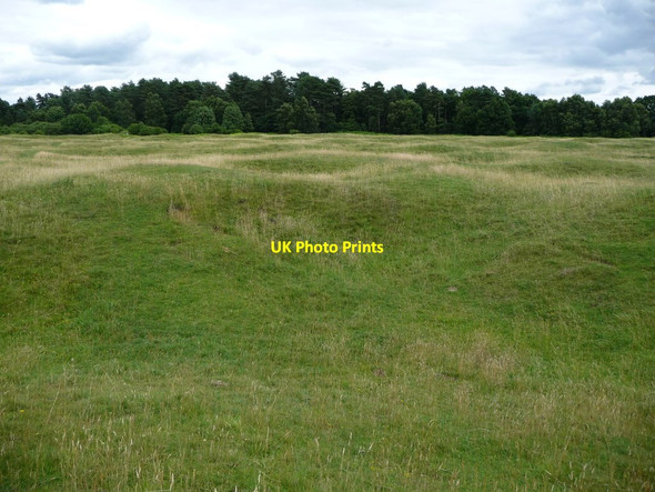 Photo 6"x4" View east across Grime's Graves Lynford c2017