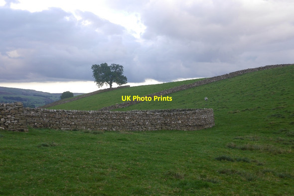 Photo 6"x4" Wensleydale grassland Bainbridge c2016