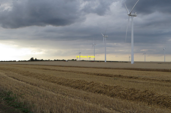 Photo 6"x4" Harvesting under the turbines Balsam c2017