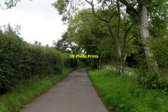 Photo 6"x4" The road to Currie House, Borthwick Borthwick c2017