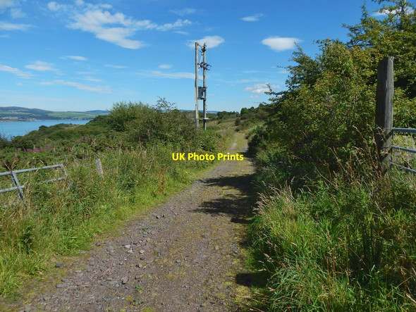 Photo 6"x4" The start of a path to Knocknairshill ruins Port Glasgow c2017