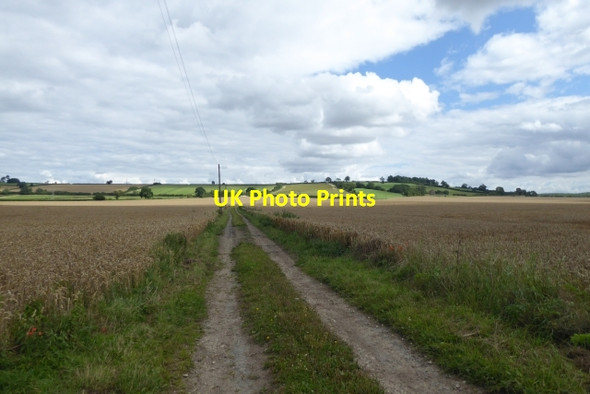 Photo 6"x4" Track to Clay Hall and Hillside Farm Barton-le-Willows c2017