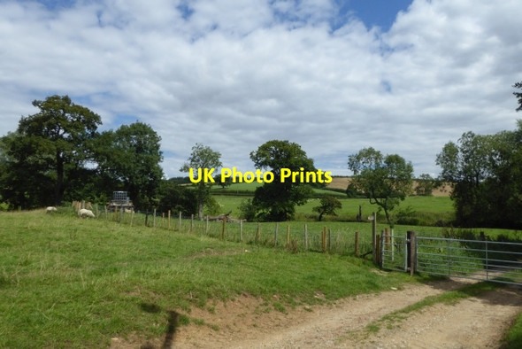 Photo 6"x4" Fence and gate Crambe c2017